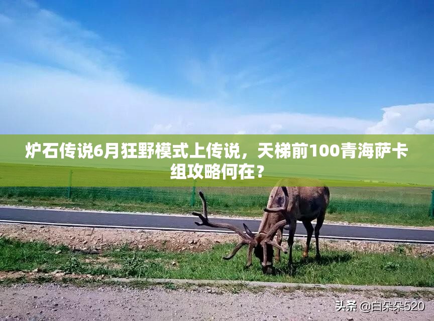 爐石傳說6月狂野模式上傳說，天梯前100青海薩卡組攻略何在？