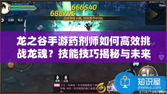 龍之谷手游藥劑師如何高效挑戰(zhàn)龍魂？技能技巧揭秘與未來玩法展望
