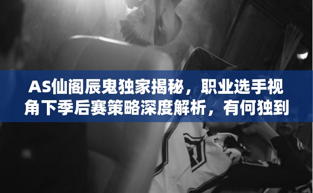 AS仙閣辰鬼獨(dú)家揭秘，職業(yè)選手視角下季后賽策略深度解析，有何獨(dú)到見解？