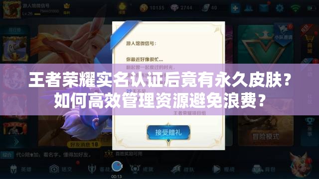 王者榮耀實(shí)名認(rèn)證后竟有永久皮膚？如何高效管理資源避免浪費(fèi)？
