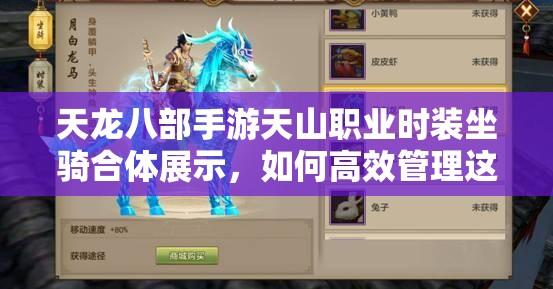 天龍八部手游天山職業(yè)時(shí)裝坐騎合體展示，如何高效管理這些炫酷資源？