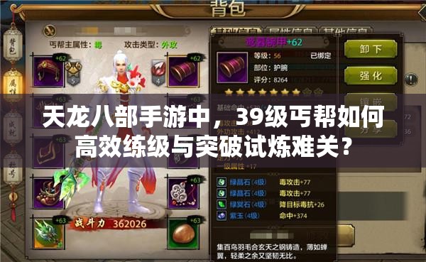天龍八部手游中，39級(jí)丐幫如何高效練級(jí)與突破試煉難關(guān)？
