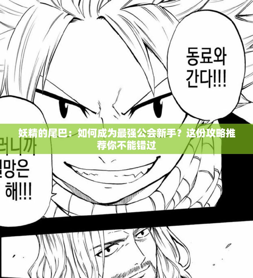 妖精的尾巴：如何成為最強公會新手？這份攻略推薦你不能錯過