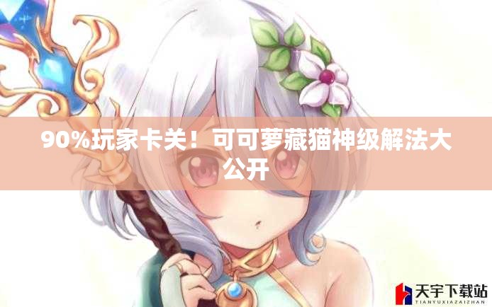 90%玩家卡關(guān)！可可蘿藏貓神級解法大公開