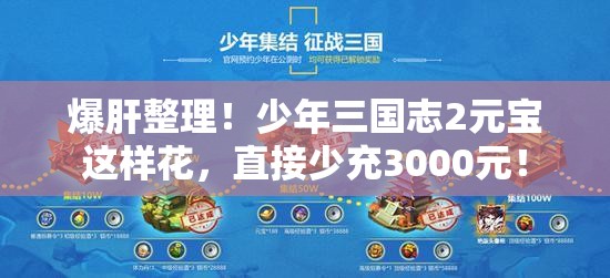 爆肝整理！少年三國(guó)志2元寶這樣花，直接少充3000元！